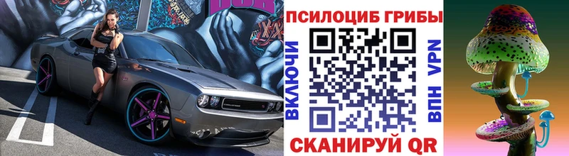 площадка формула  Тавда  Галлюциногенные грибы мухоморы 